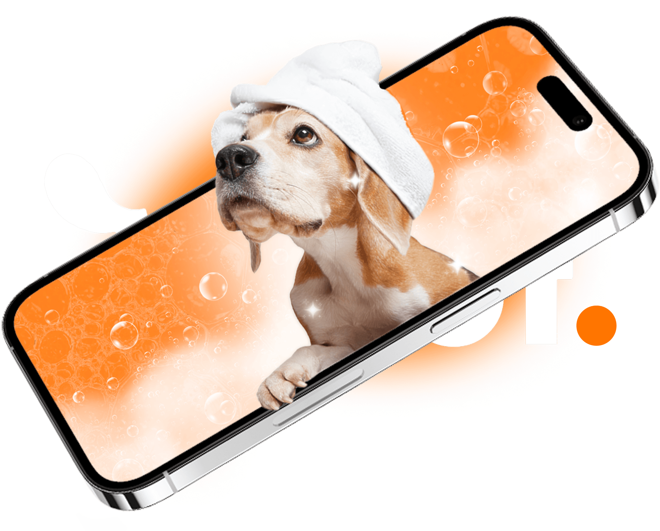 Dog grooming appointment hero image
